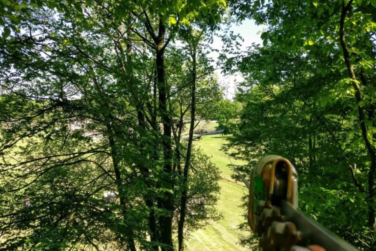 Parc Aventure de Fontdouce - Bonjour La Rochelle