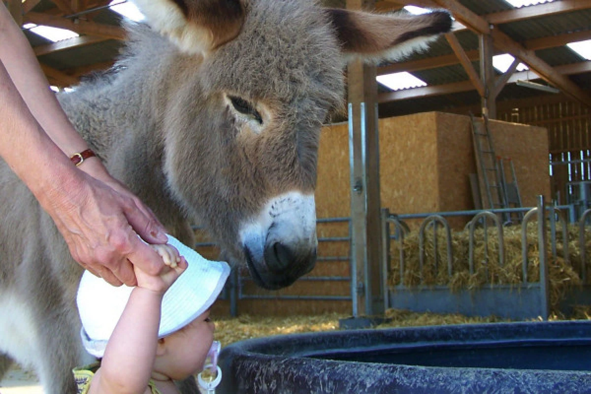 Atelier "BEBE FERMIER" 0-4ans - Bonjour La Rochelle