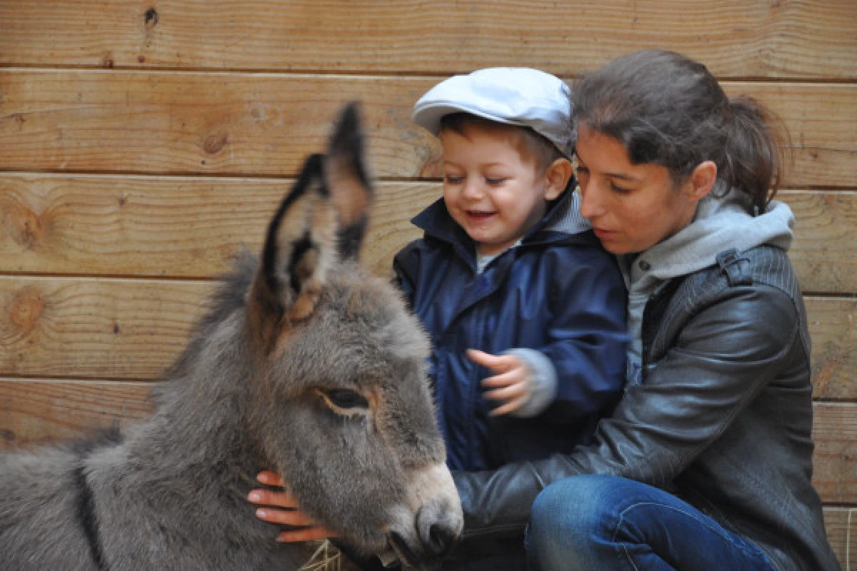 Atelier "BEBE FERMIER" 0-4ans - Bonjour La Rochelle