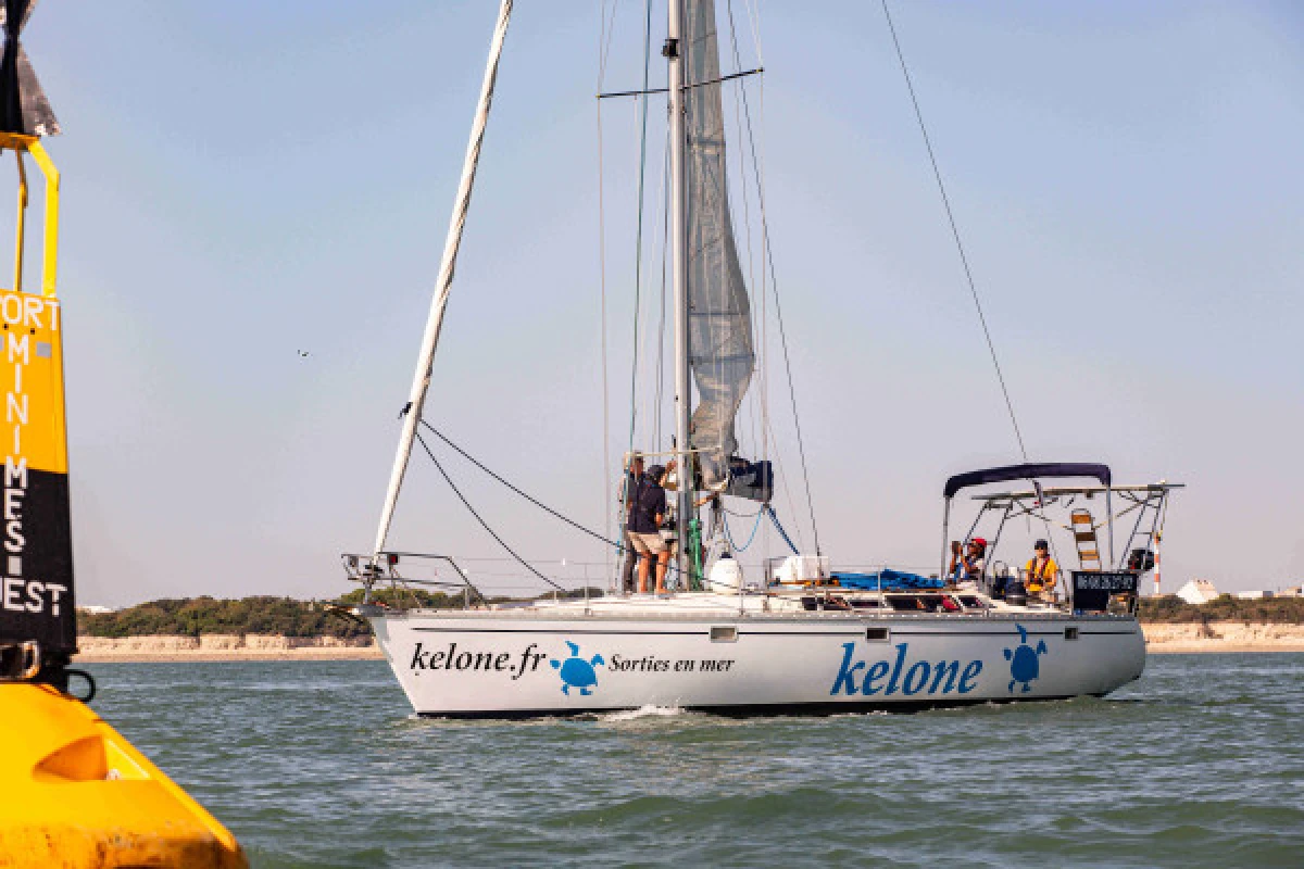 SORTIE EN MER MATINEE - Bonjour La Rochelle